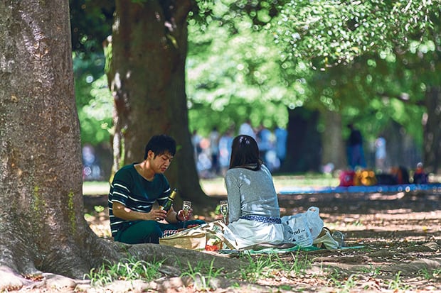 Image of people having a drink on a picnic in a park