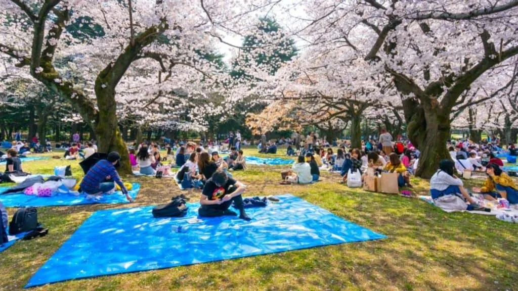 My Dream Journey in Tokyo Yoyogi Park
