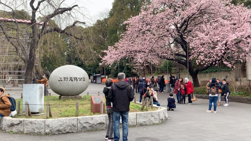 Ueno park day drinking with family