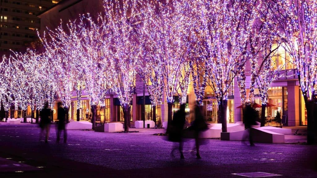 Illuminations, Colourful LED Light Festivals in Tokyo Illuminations, Colourful LED Light Festivals in Tokyo