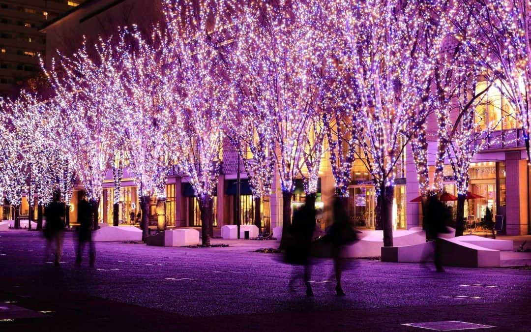 Illuminations, Colourful LED Light Festivals in Tokyo