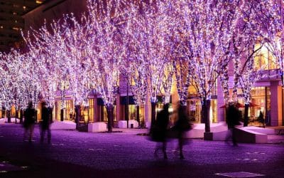 Illuminations: An Introduction to Tokyo’s Colourful LED Light Festivals