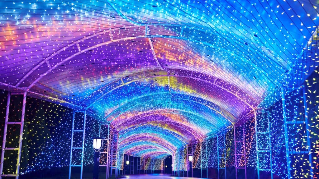 Illuminations, Colourful LED Light Festivals in Tokyo Hakkeijima Sea Paradise tokyo illumination