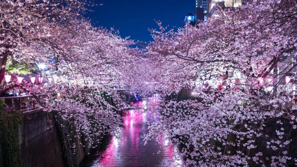 Meguro River