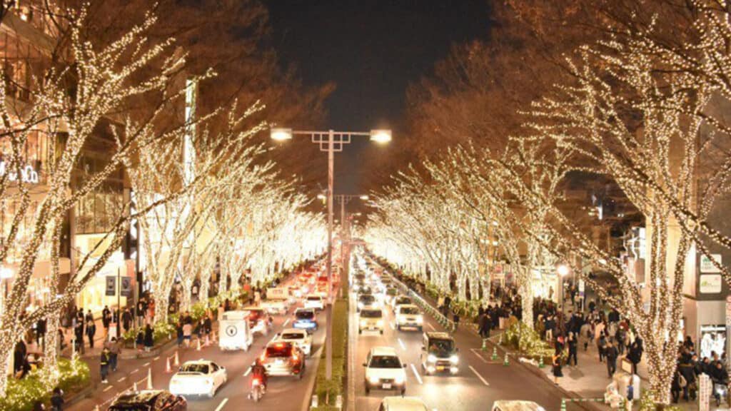 Illuminations, Colourful LED Light Festivals in Tokyo Omotesando Light illumination Tokyo