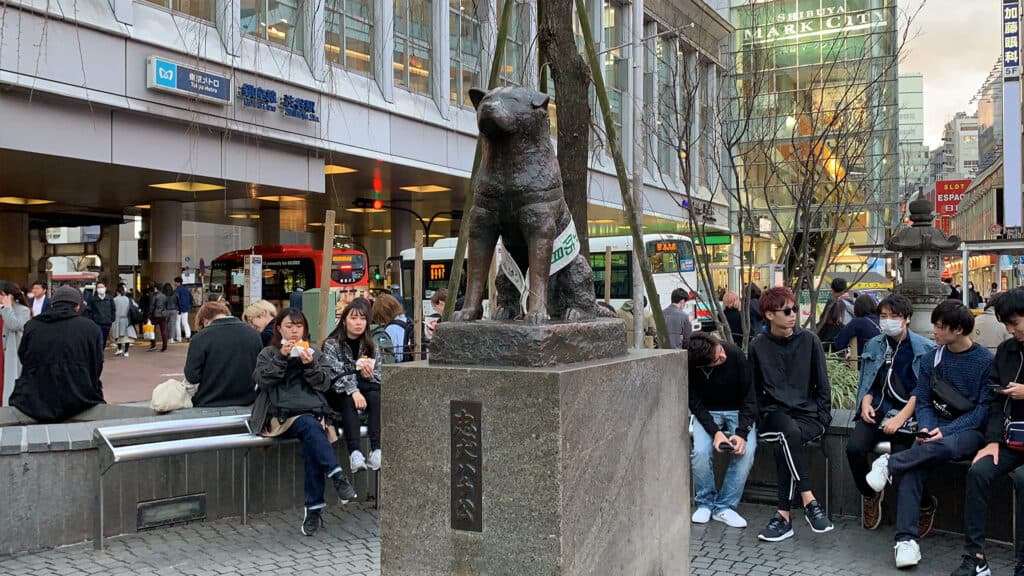 Visit Tokyo under 24 hours- One Day Trip Itinerary Hachiko in Shibuya