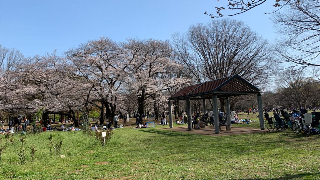 Visit Tokyo under 24 hours- One Day Trip Itinerary yoyogi parkpdf