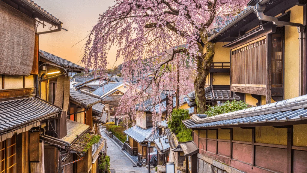 Best place to live in japan different culture and city