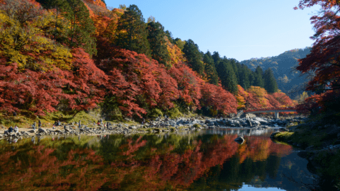 Best Place To Live In Japan | Ultimate Guide To Choosing Where To Live