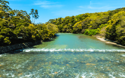 Nature in Japan: Discover Serene Outdoor Escapes Around Tokyo and Beyond