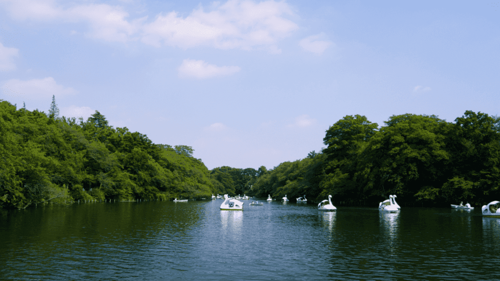 Inokashira Park in Japan