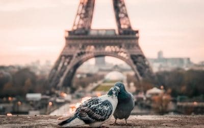 The Paris Syndrome: A Psychological Phenomenon Among Japanese Tourists