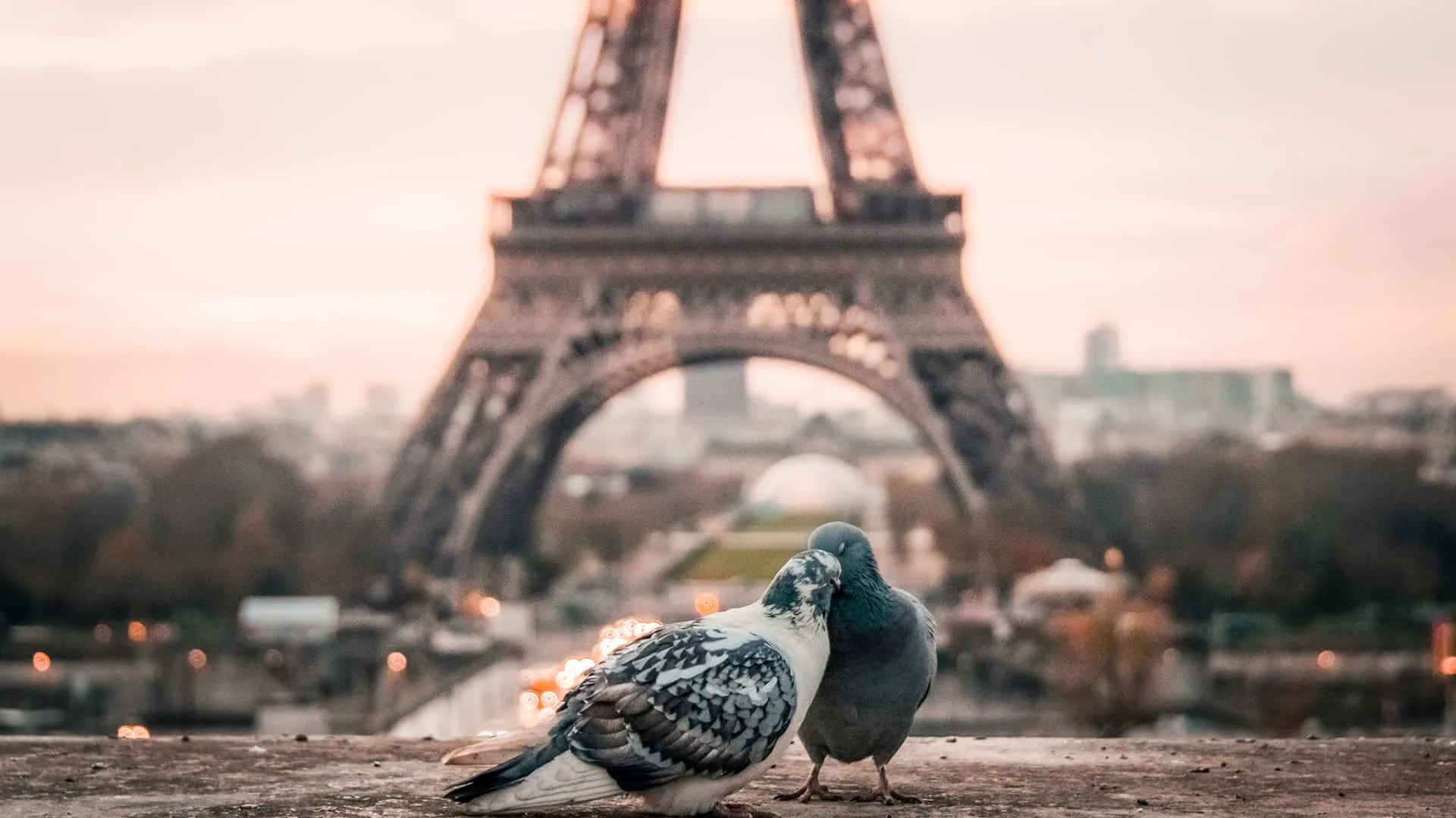 Japan’s Problem with Paris, the Paris Syndrome