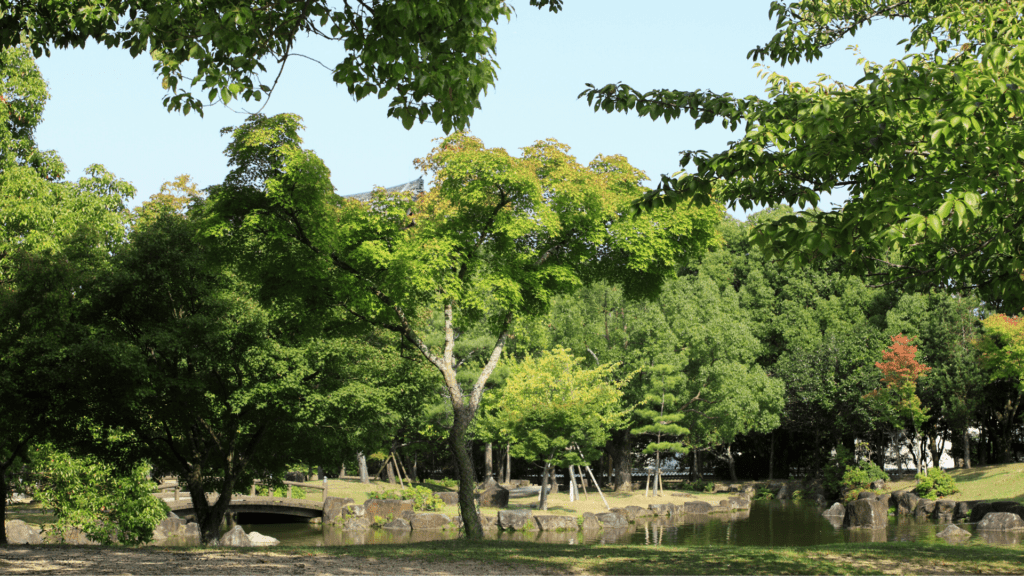 Nara Park for visiting nature