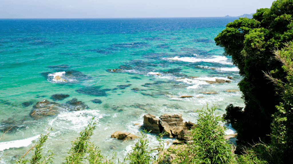 Nature in Japan in Izu