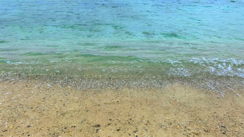 Ocean zamami