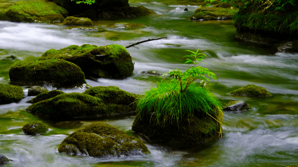 Oirase Keiryu in Japan for rivers