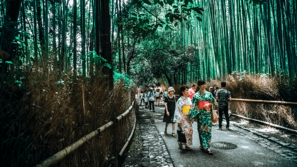 Reason for living and moving to japan bamboo forest