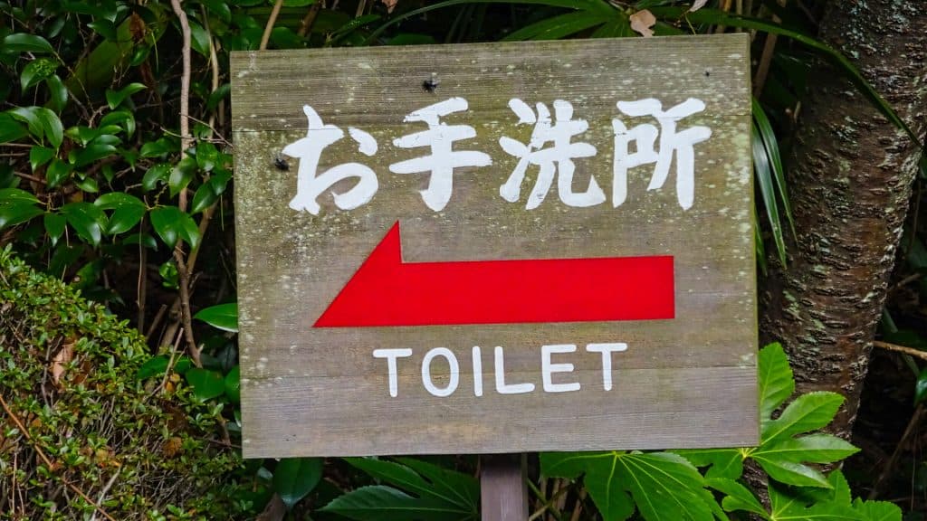 The Foreigner’s Guide to a Japanese toilet japanese toilet The Foreigner's Guide to a Japanese toilet