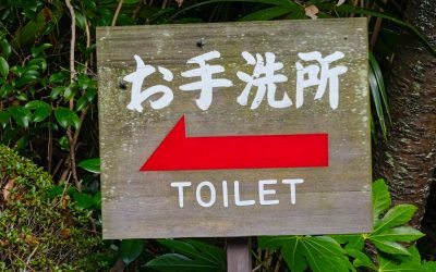 The Foreigner’s Guide to a Japanese toilet