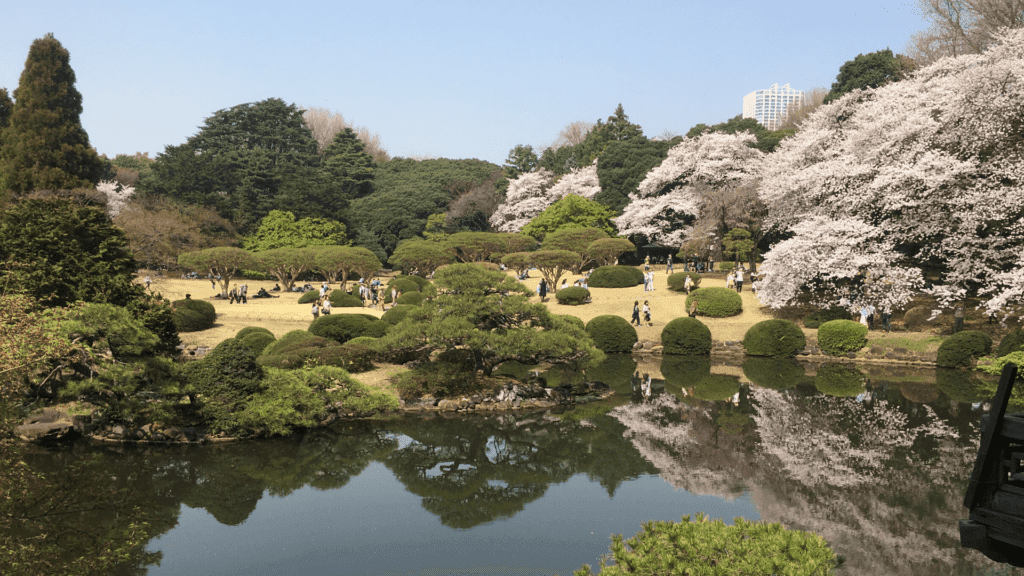 Yoyogi park for nature lovers