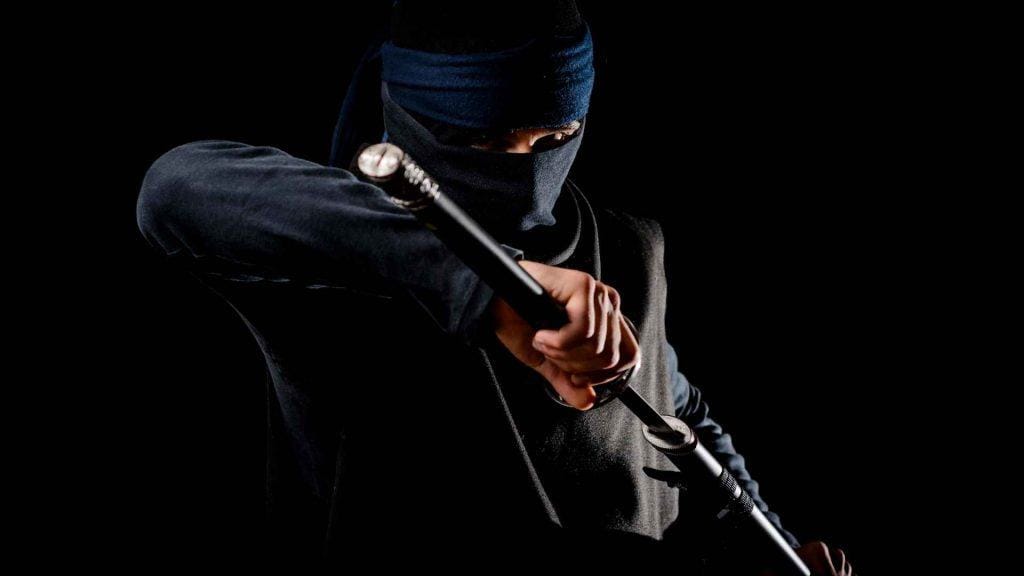 Are ninjas real ninja in Japan
