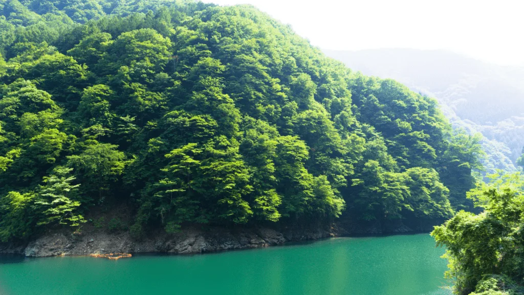 Best place to live in japan, saitama prefecture