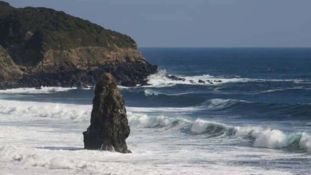 Day Trips from Tokyo Tokyo islands, Oshima