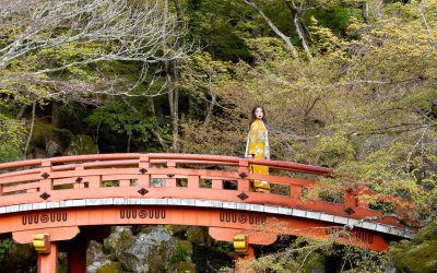 Geisha Allure: The Fascinating World of Japan’s Iconic Figures