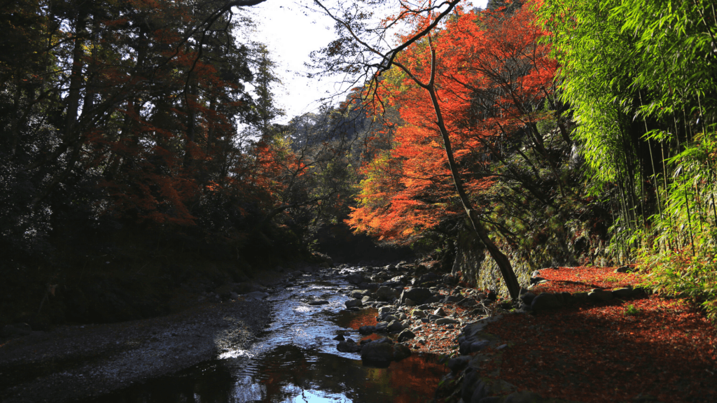 Mountain Takao for nature near Tokyo