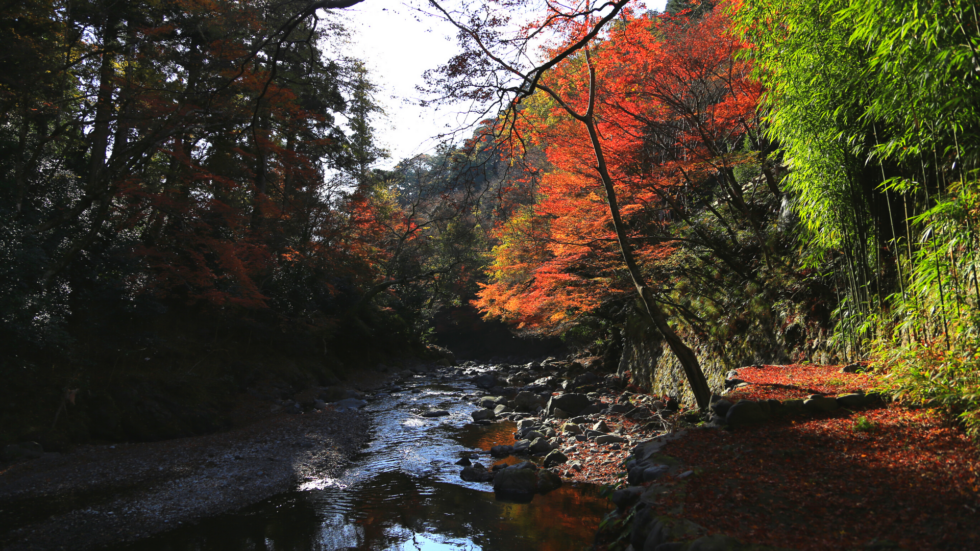 20 Day Trip Ideas From Tokyo To Get In Touch With Nature