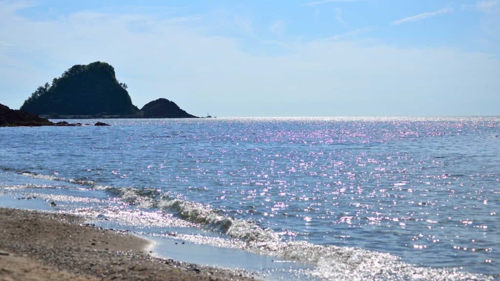 Beaches summer in Tokyo Japan