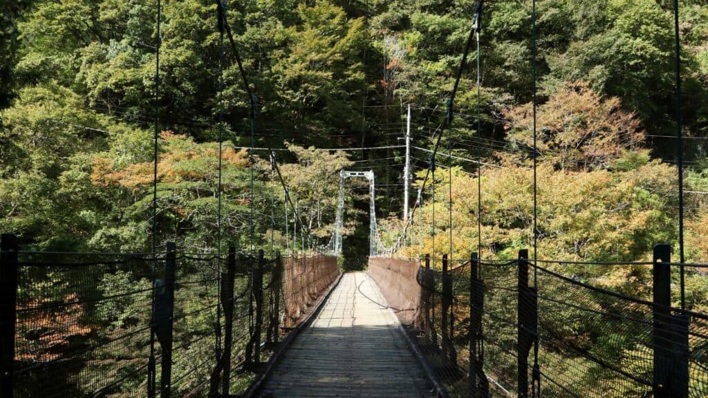 Hiking in nature in Tokyo Japan