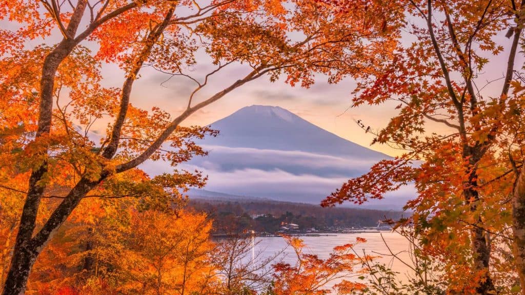 The only list you need for what to do in Japan