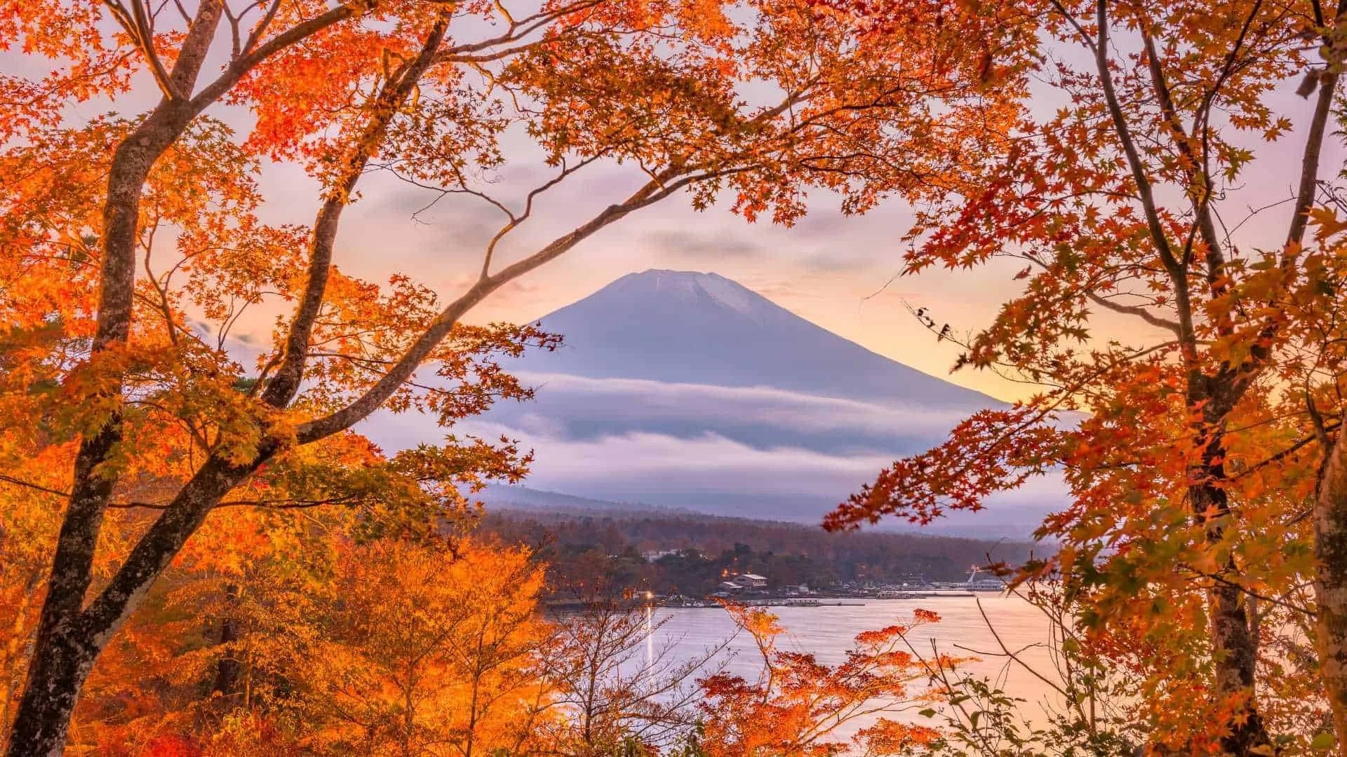 The only list you need for what to do in Japan