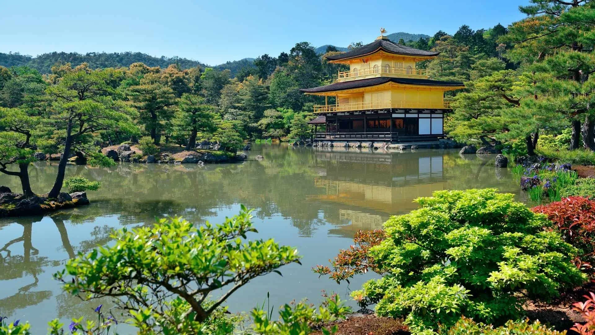Japan travel kyoto travel The only list you need for what to do in Japan