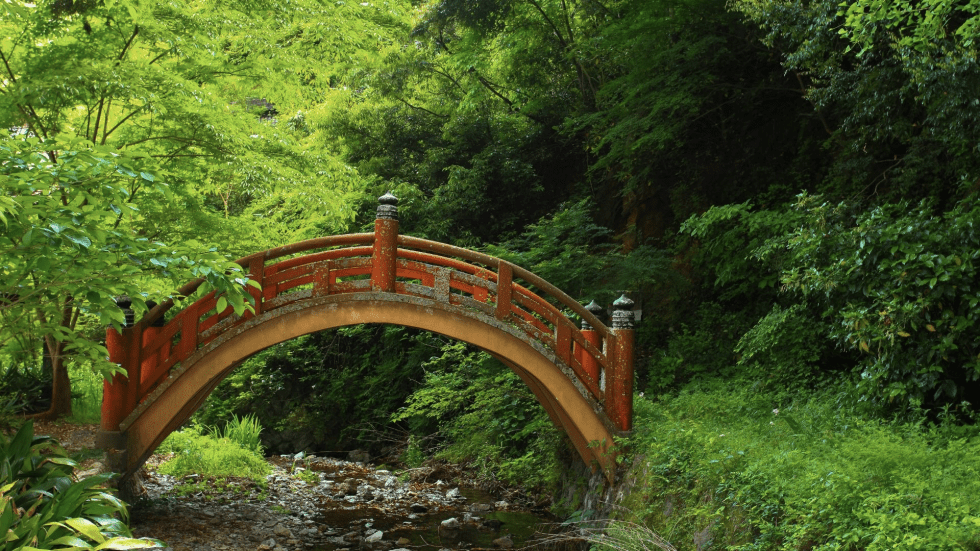 how-do-japanese-people-live-so-long-longevity-in-japan