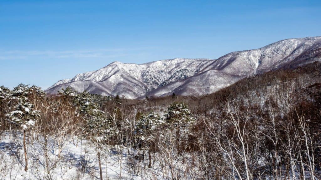 7 Best Skiing_snowboarding spots in Japan Shiga Kogen Ski Resort