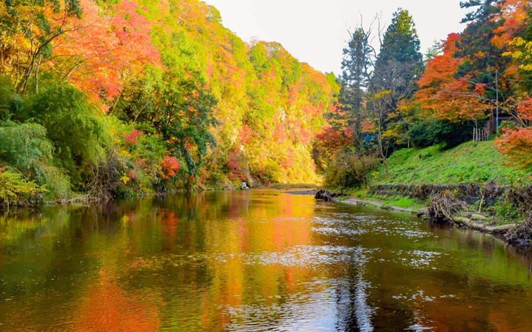 Top 10 Autumn Leaves Day Trips from Tokyo: Enjoy Autumn Leaves in Japan