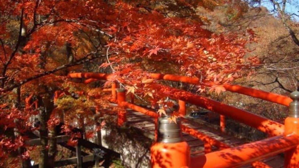 Top 10 Autumn Leaves Day Trips from Tokyo Enjoy Autumn Leaves in Japan ikaho onsen