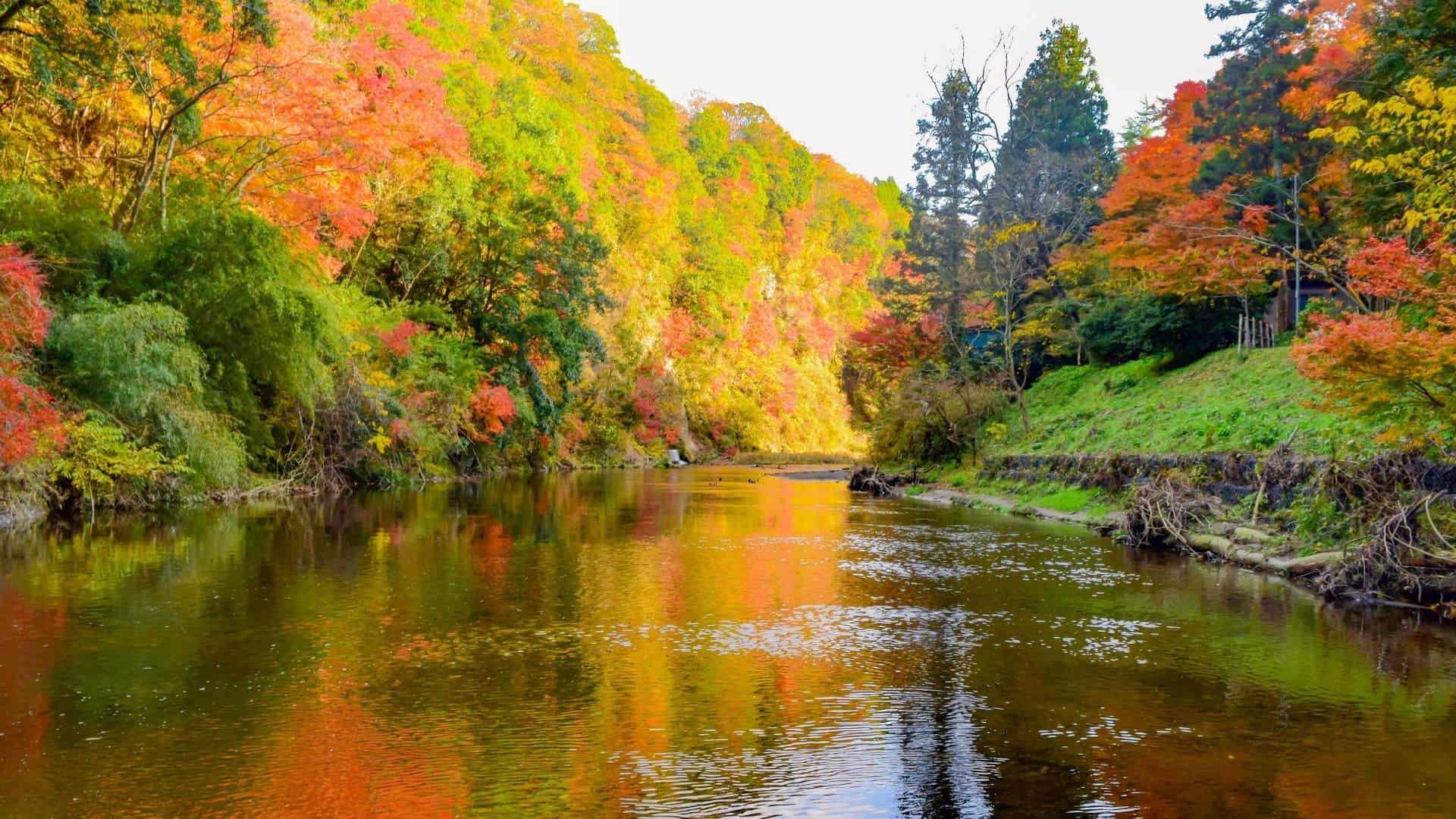 Top 10 Autumn Leaves Day Trips from Tokyo Enjoy Autumn Leaves in Japan