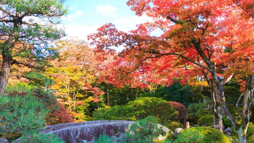 Top 10 Autumn Leaves Hiking Spots around Tokyo Enjoy Autumn Leaves in Japan Top 10 Autumn Leaves Hiking Spots around Tokyo Enjoy Autumn Leaves in Japan
