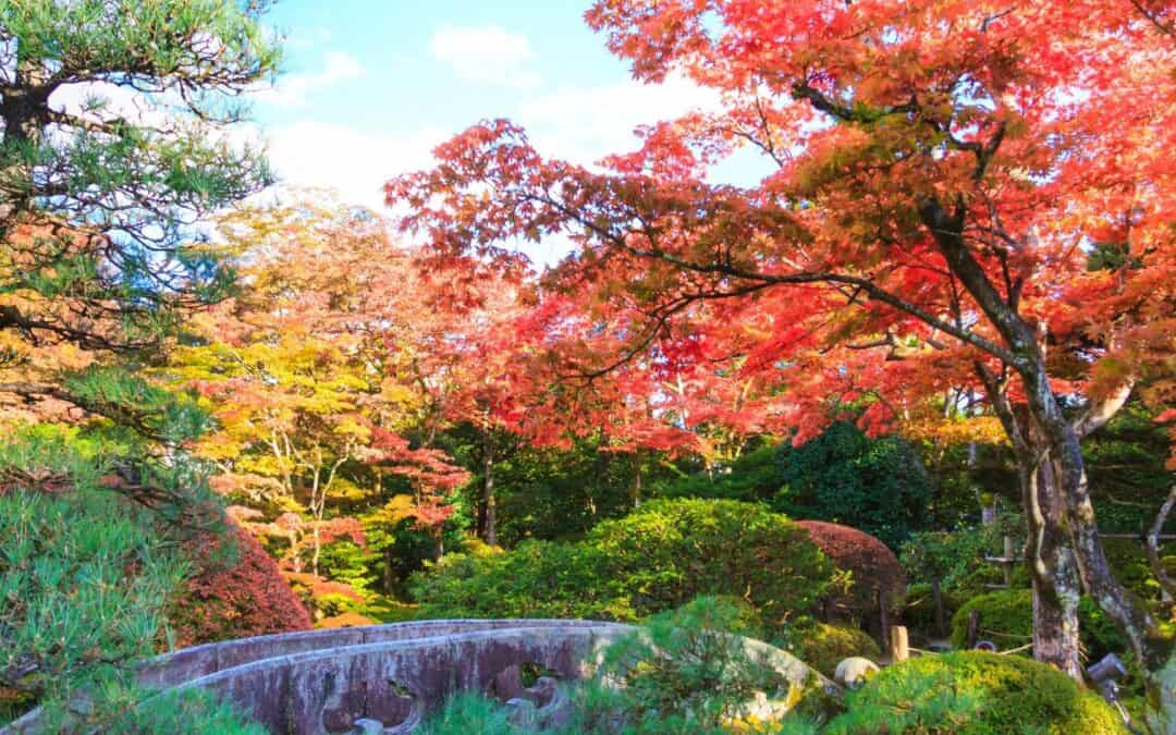 Top 10 Autumn Leaves Hiking Spots around Tokyo: Enjoy Autumn Leaves in Japan