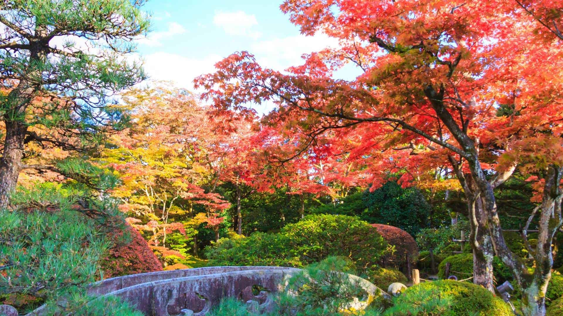 Top 10 Autumn Leaves Hiking Spots around Tokyo Enjoy Autumn Leaves in Japan