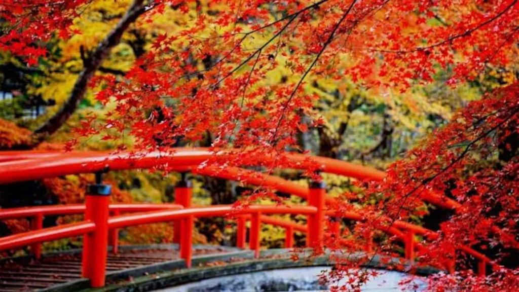 Top 10 Autumn Leaves Hiking Spots around Tokyo ikaho shrine