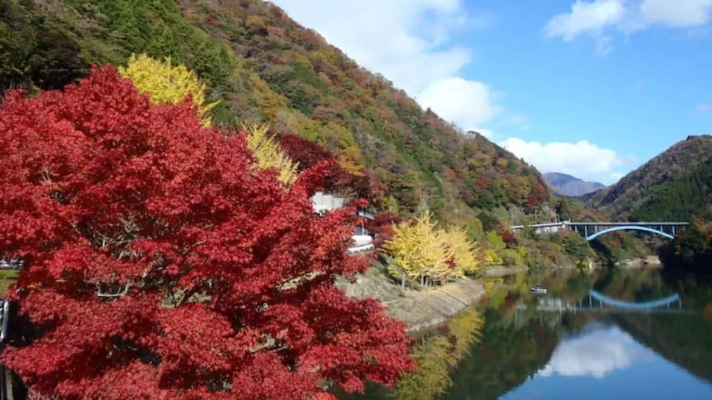 Top 10 day trip ideas to enjoy autumn leaves from Tokyo Tanzawa Lake