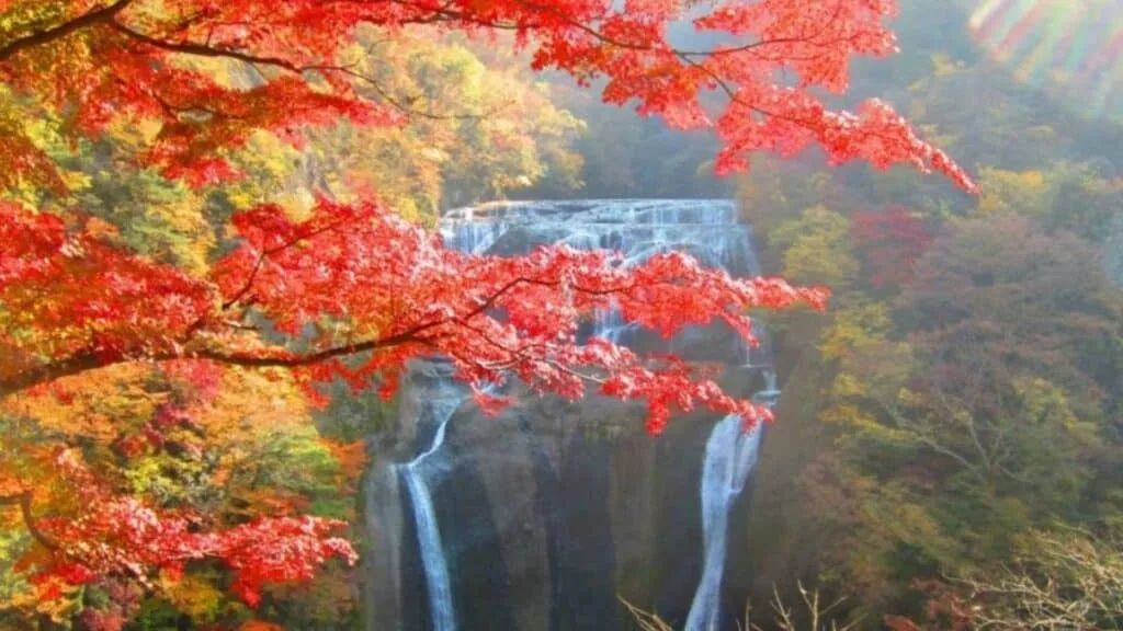 Top 10 hiking spots to enjoy autumn leaves Fukuroda Falls