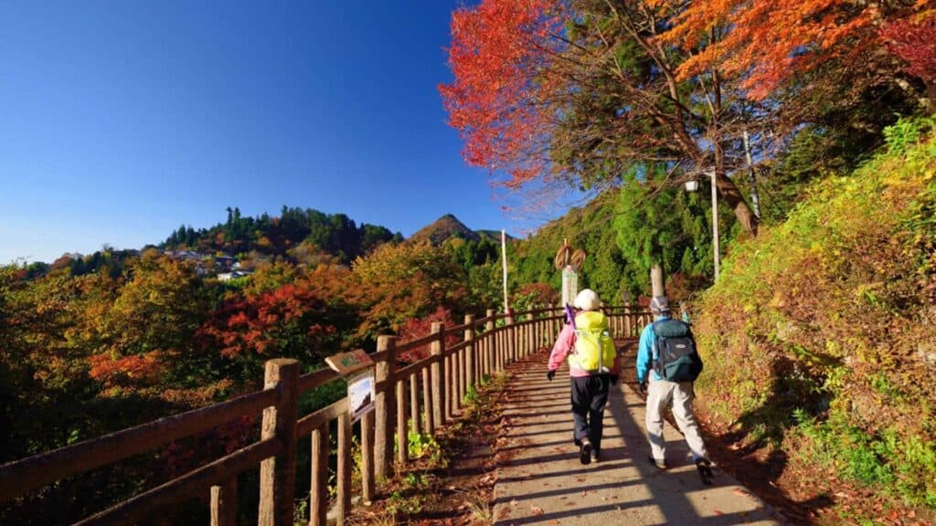 Top 10 hiking spots to enjoy autumn leaves Mount Mitake