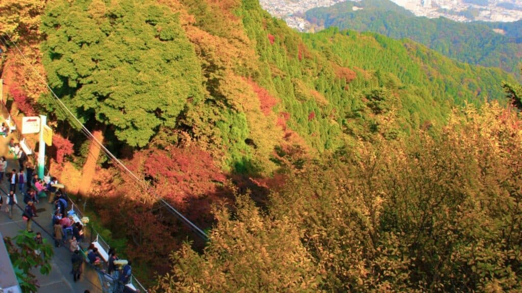 Top 10 hiking spots to enjoy autumn leaves Mt. Takao