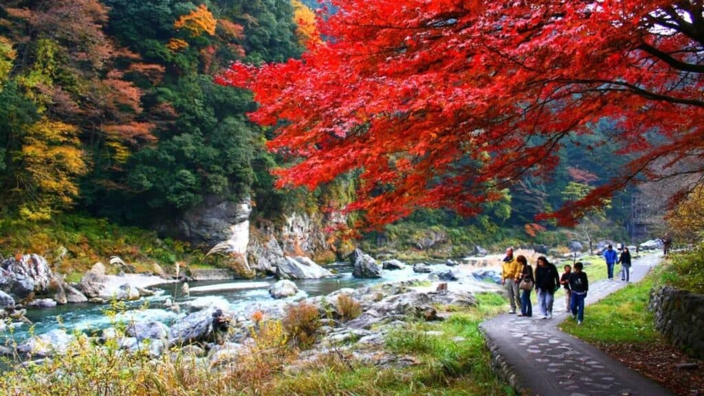 Top 10 hiking spots to enjoy autumn leaves Okutama